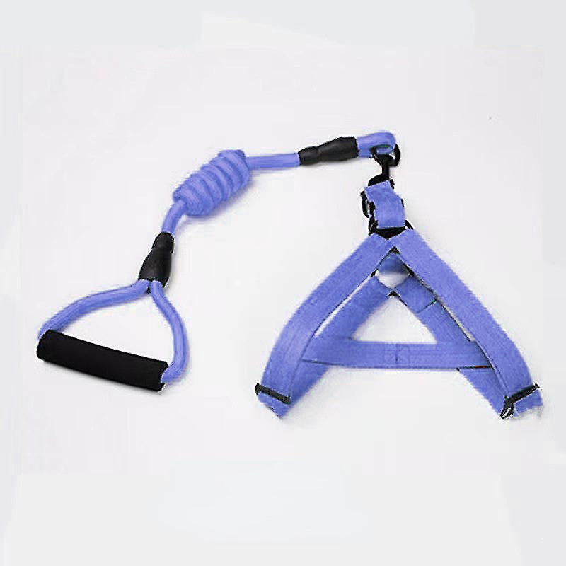 Dog Leash & harness, Durable, Comfortable Walk Set with sponge handle