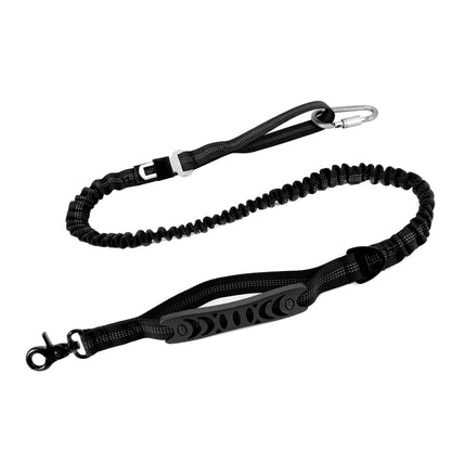 All in One Dog Leash: Adjust, Secure & Walk