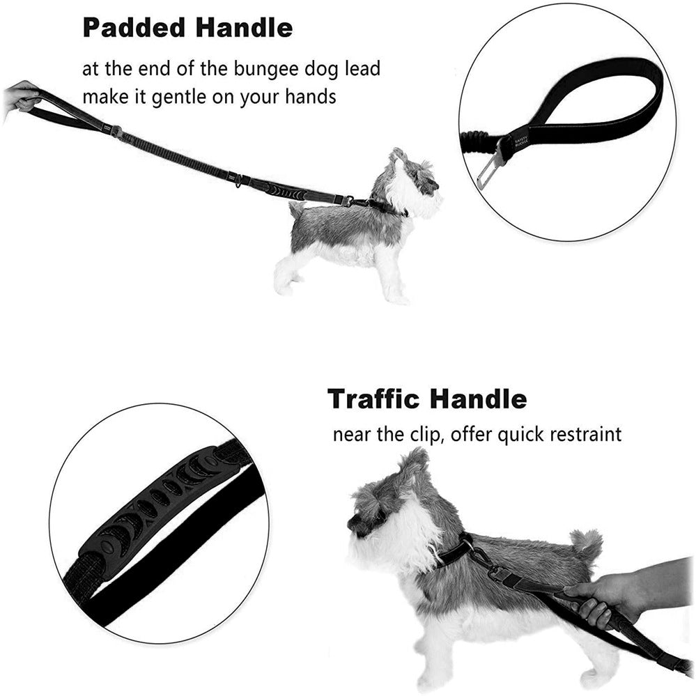 All in One Dog Leash: Adjust, Secure & Walk