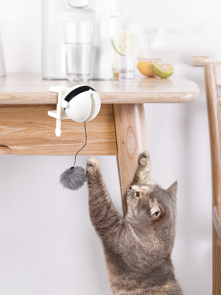 Interactive Play Electric Lifting Cat Toy