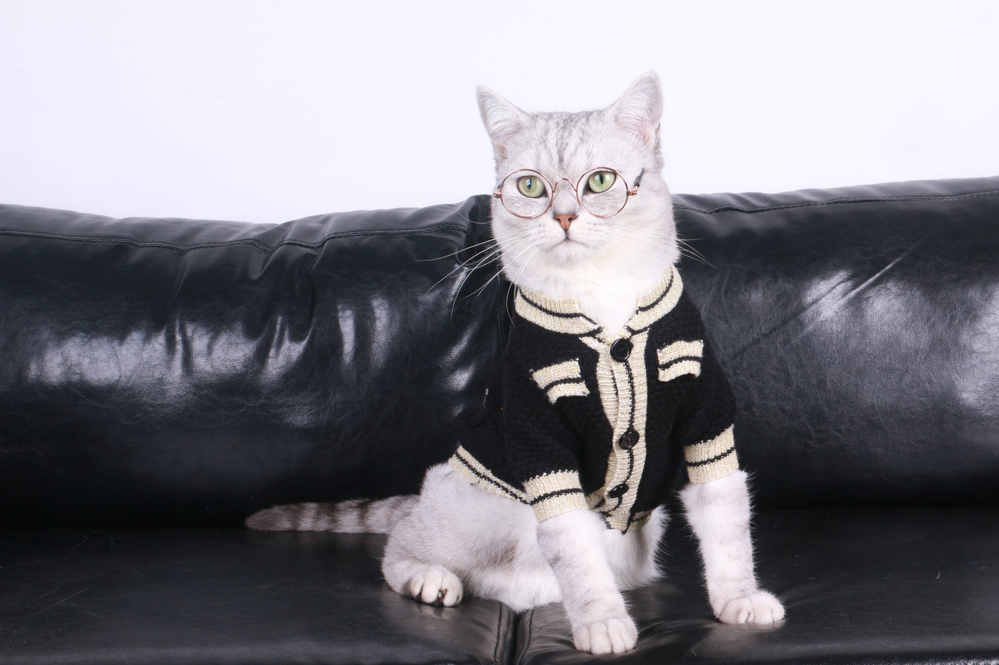 Cat Jacket Sweater