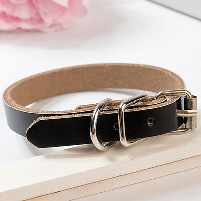 Leather Dog Collar & Chain
