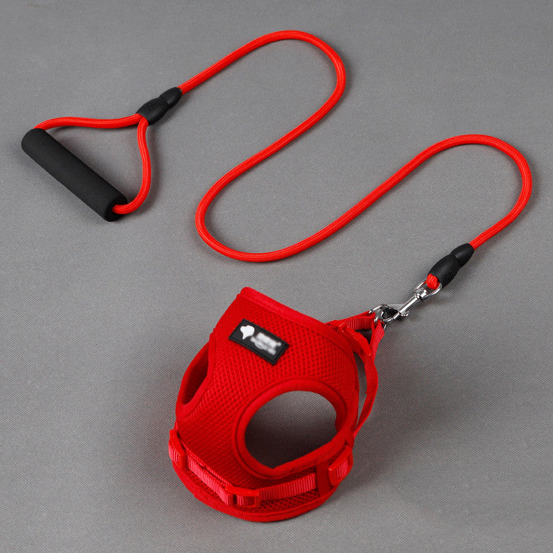 Leash & Harness for Dogs