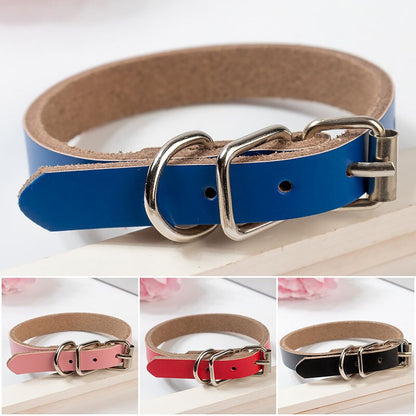 Leather Dog Collar & Chain