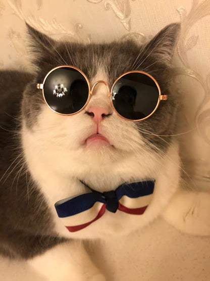 Cat Sunglasses Stylish 100% UV Protection