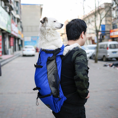 Double Comfort Dog Carrier Travel Backpack