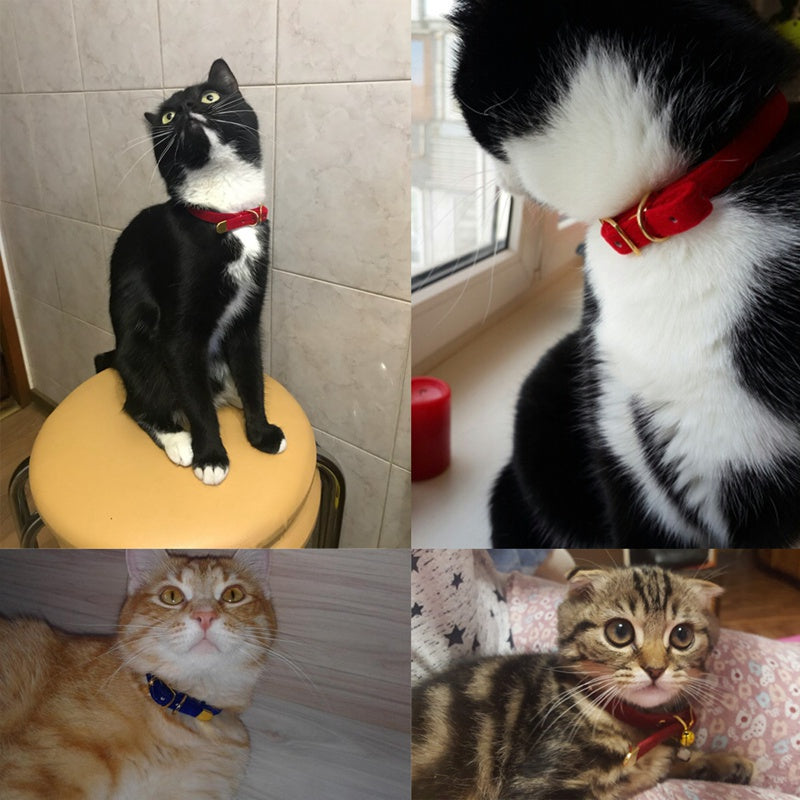 Adjustable Cat Collars, neck belts