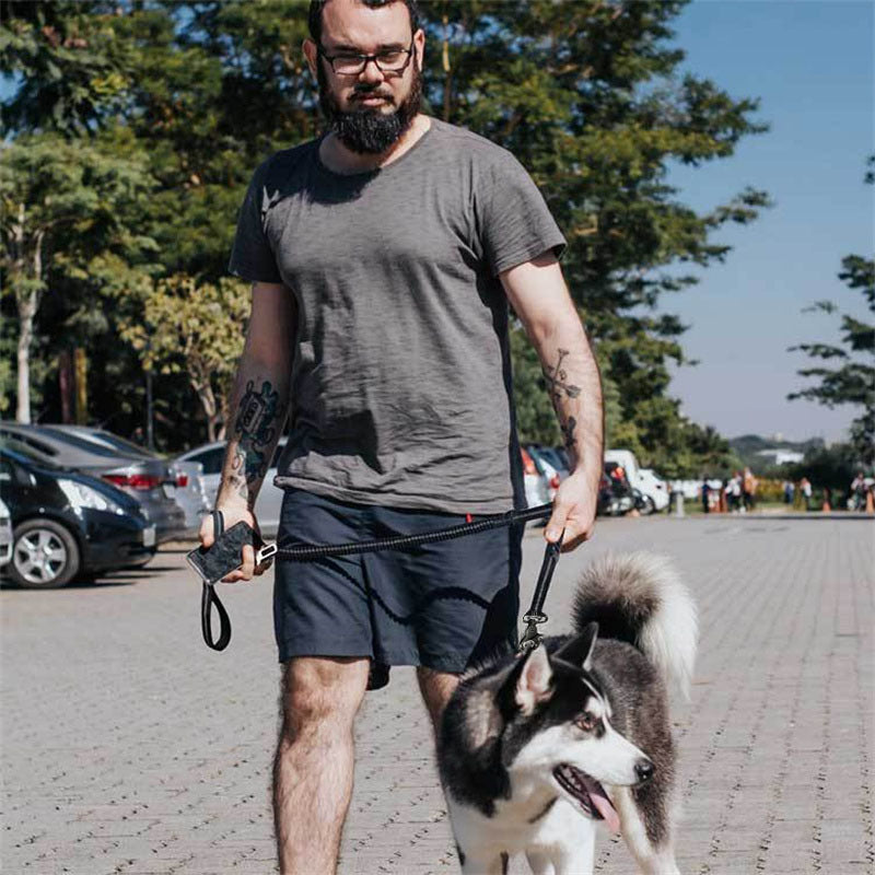 All in One Dog Leash: Adjust, Secure & Walk