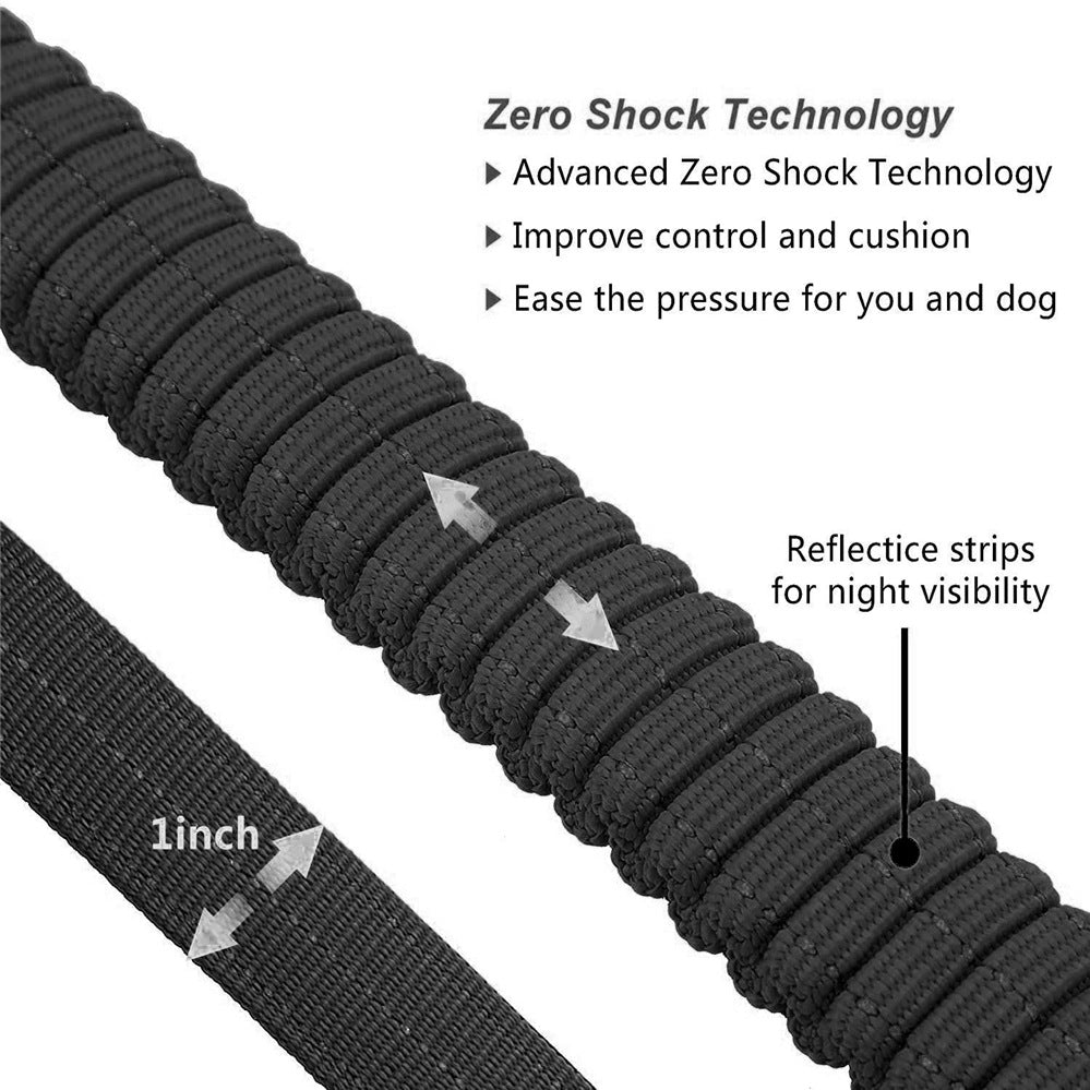 All in One Dog Leash: Adjust, Secure & Walk