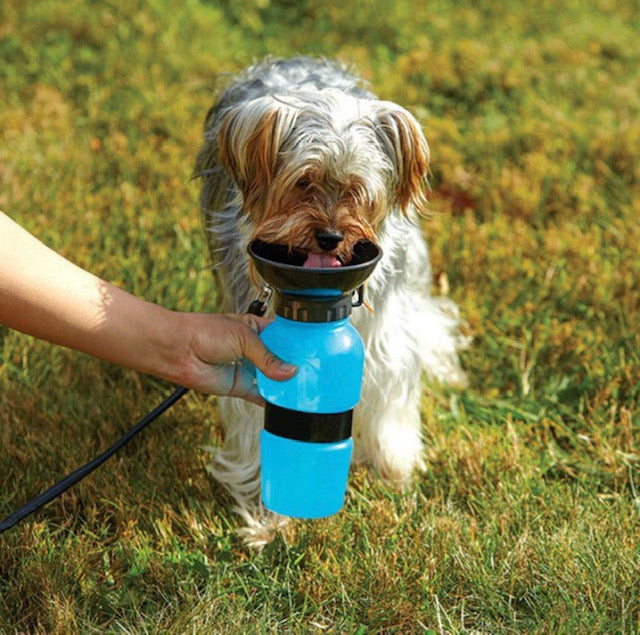 Portable Pet Water Bottle Perfect for Travel & Hike 500 ml