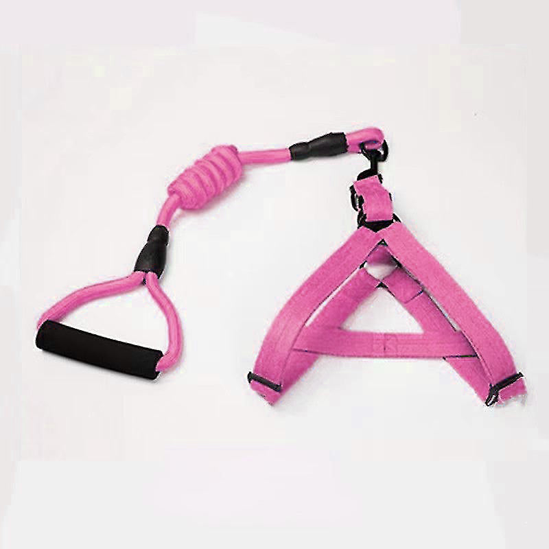 Dog Leash & harness, Durable, Comfortable Walk Set with sponge handle